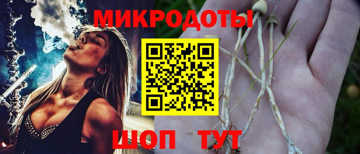 Галлюциногенные грибы Cubensis  Вход с VPN  Сергиев Посад 
